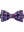 imagepopulate5