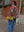 imagepopulate1