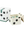 imagepopulate1
