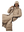 imagepopulate1