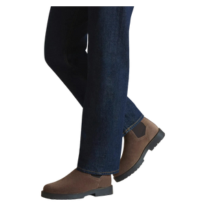 imagepopulate1