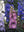 imagepopulate1