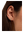 imagepopulate1