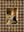 imagepopulate1
