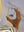 imagepopulate1