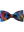 imagepopulate5