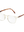 imagepopulate1