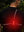 Proviz Running Chest Light 500 Lumens