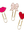 imagepopulate1