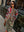 imagepopulate1