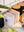 imagepopulate1