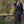 Prestige Blue Wedding Suit