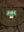 imagepopulate1