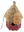 imagepopulate1