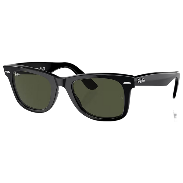Wayfarer Sunglasses