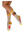 imagepopulate1