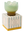 Tulip 5.5oz Glass Candle