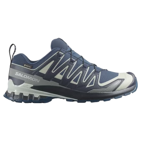 Salomon Shoes XA Pro 3D V9 GTX Trainers