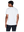 imagepopulate1
