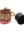 imagepopulate1