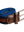 imagepopulate1