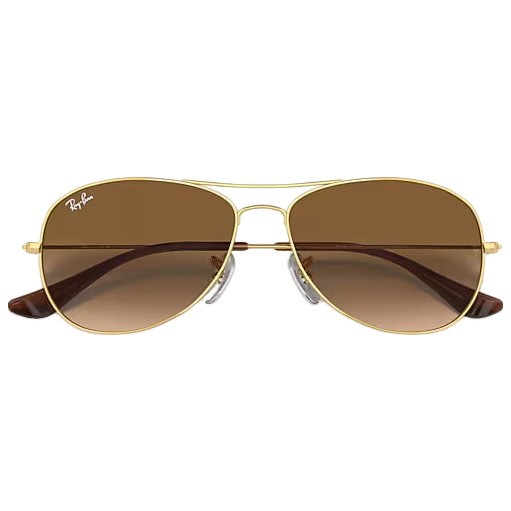 Cockpit Sunglasses