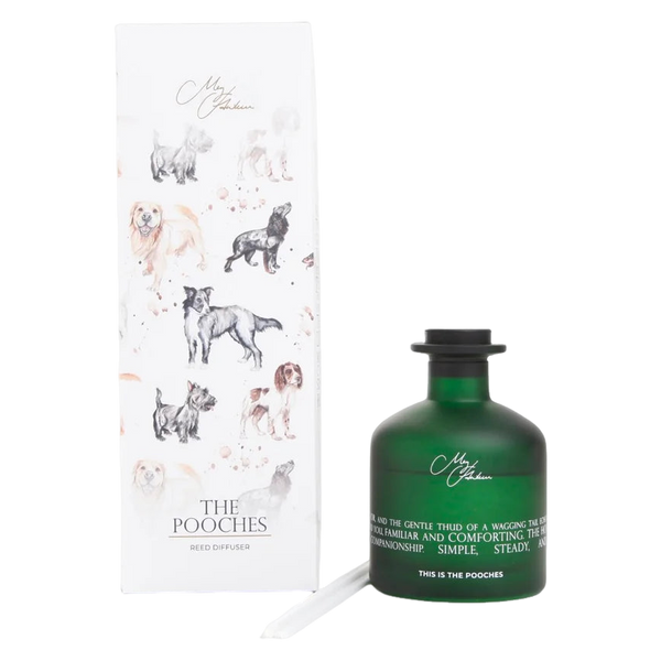 Meg Hawkins Diffuser