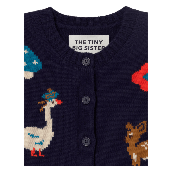 Tiny Big Sister Fall Vest