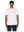 imagepopulate1