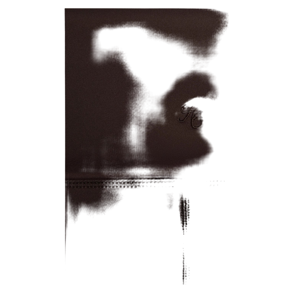 imagepopulate1
