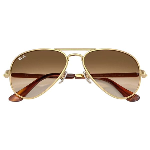 Aviator Max Sunglasses