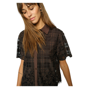 imagepopulate1
