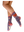 imagepopulate1