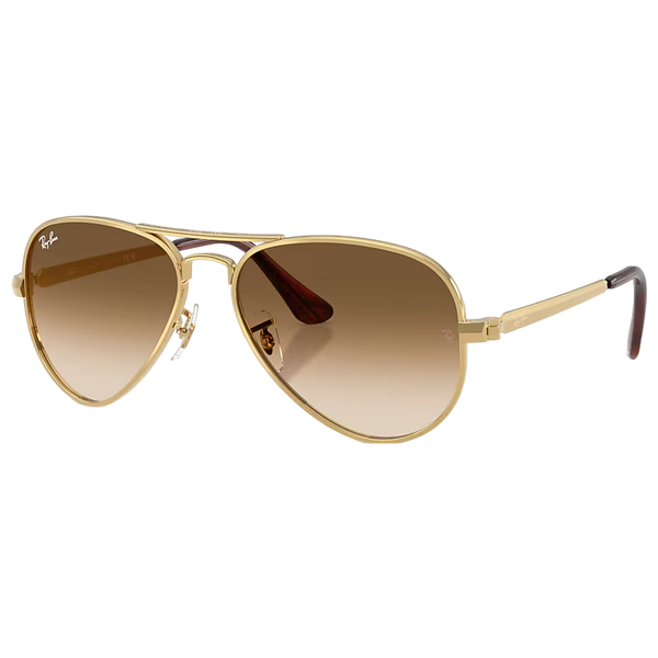 Aviator Max Sunglasses
