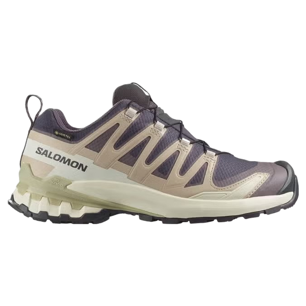 Salomon Shoes XA Pro 3D V9 GTX Trainers W