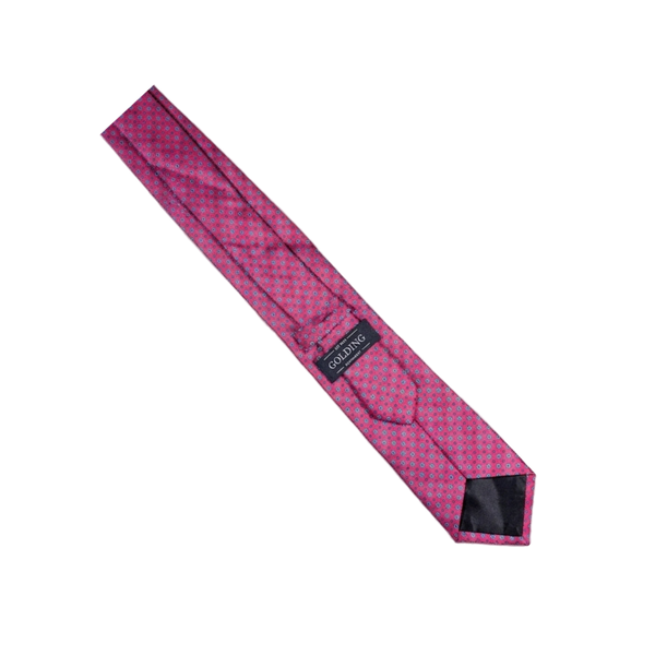 Golding Geo Floral Tie
