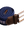 imagepopulate1