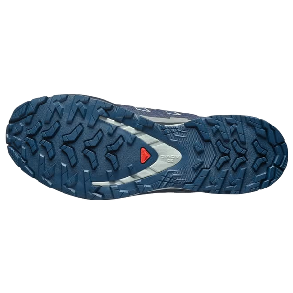 Salomon Shoes XA Pro 3D V9 GTX Trainers
