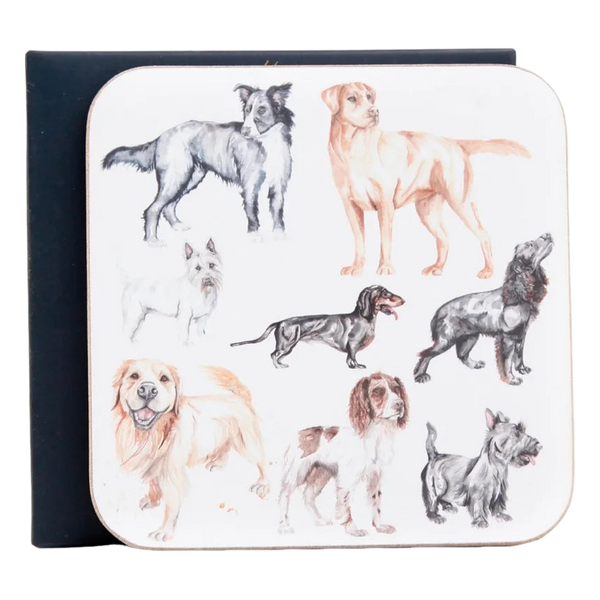 Meg Hawkins Watercolour Design Coasters