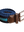 imagepopulate1