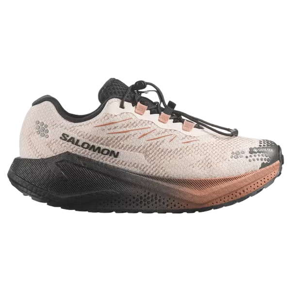 Salomon Shoes Aero Blaze 4 GRVL GTX Trainers W