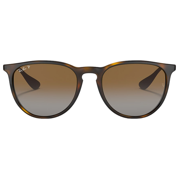 Ray-Ban Erika Sunglasses