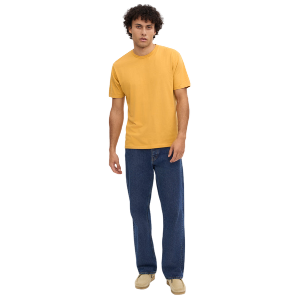Colourful Standard Classic Organic T-shirt