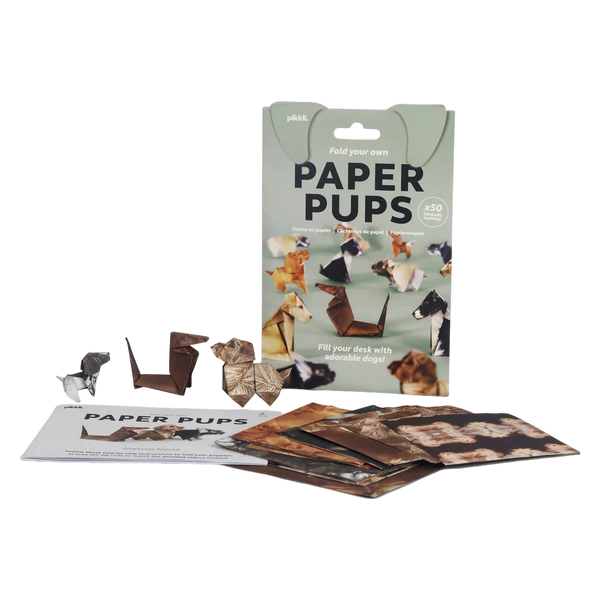Origami Animal Kit