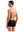 imagepopulate1