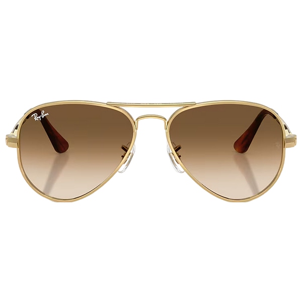 Aviator Max Sunglasses
