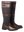 imagepopulate1