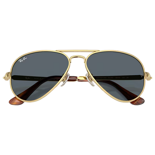 Aviator Max Sunglasses