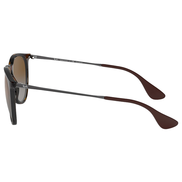 Ray-Ban Erika Sunglasses