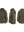 imagepopulate1